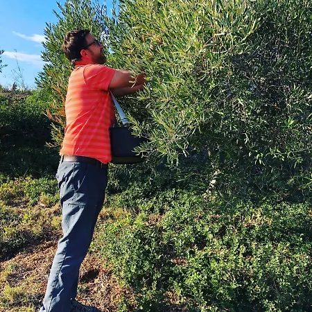 Nyaraló Val Des Bruyeres - Confort Dans Un Village Typique Pres De Pezenas *