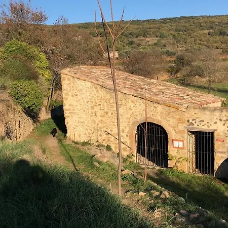 Val Des Bruyeres - Confort Dans Un Village Typique Pres De Pezenas