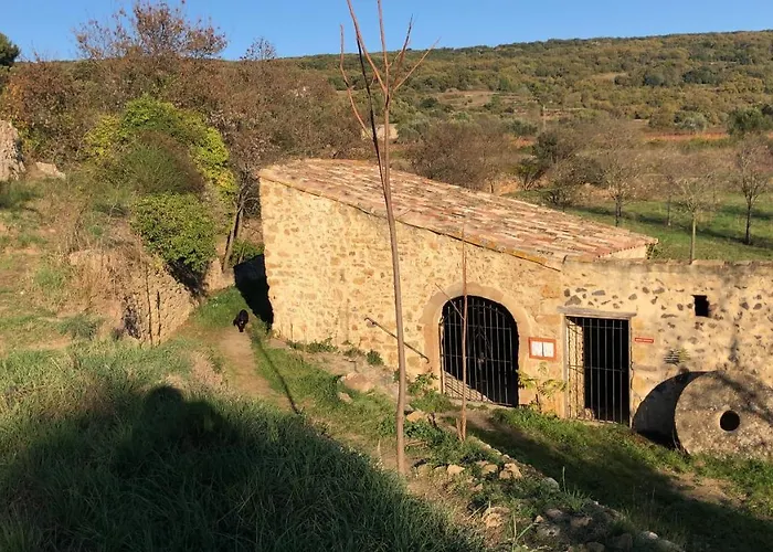 Val Des Bruyeres - 15mn Pezenas Avec Terrasse Et Cour Close - Parking Privatif Securise - Wifi Ftth Gratuit